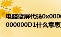 电脑蓝屏代码0x000000d1(电脑蓝屏代码0x000000D1什么意思)