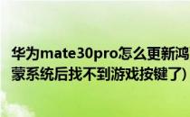 华为mate30pro怎么更新鸿蒙系统(华为mate30pro更新鸿蒙系统后找不到游戏按键了)