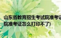 山东省教育招生考试院准考证怎么打印(山东省教育招生考试院准考证怎么打印不了)