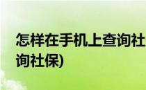 怎样在手机上查询社保信息(如何在手机上查询社保)