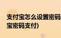 支付宝怎么设置密码支付方式(怎样设置支付宝密码支付)