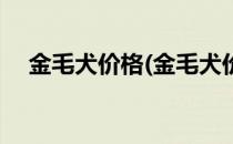 金毛犬价格(金毛犬价格大概多少钱一只)