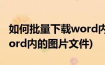 如何批量下载word内的图片(如何批量下载word内的图片文件)