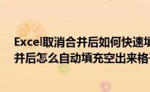 Excel取消合并后如何快速填充空白单元格(excel表取消合并后怎么自动填充空出来格子)