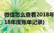 微信怎么查看2018年度账单(微信怎么查看2018年度账单记录)