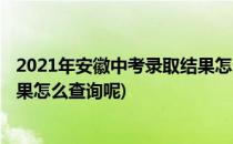 2021年安徽中考录取结果怎么查询(2021年安徽中考录取结果怎么查询呢)