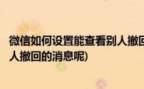 微信如何设置能查看别人撤回的消息(微信如何设置能查看别人撤回的消息呢)