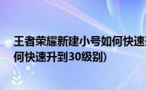 王者荣耀新建小号如何快速升到30级(王者荣耀新建小号如何快速升到30级别)