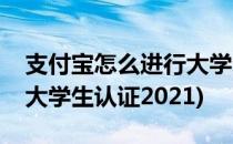 支付宝怎么进行大学生认证(支付宝怎么进行大学生认证2021)