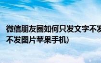 微信朋友圈如何只发文字不发图片(微信朋友圈如何只发文字不发图片苹果手机)