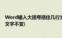 Word输入大括号括住几行文字(word输入大括号括住几行文字不变)