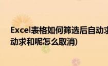 Excel表格如何筛选后自动求和呢(excel表格如何筛选后自动求和呢怎么取消)