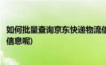 如何批量查询京东快递物流信息(如何批量查询京东快递物流信息呢)