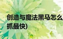 创造与魔法黑马怎么抓(创造与魔法黑马怎么抓最快)