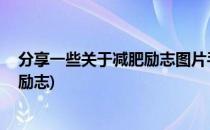 分享一些关于减肥励志图片手机壁纸(减肥的壁纸手机壁纸 励志)