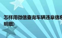 怎样用微信查询车辆违章信息(怎样用微信查询车辆违章信息明细)