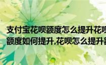 支付宝花呗额度怎么提升花呗如何快速提高额度(支付宝花呗额度如何提升,花呗怎么提升额度)