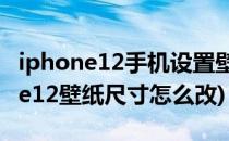 iphone12手机设置壁纸怎么调整尺寸(iphone12壁纸尺寸怎么改)