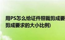 用PS怎么给证件照裁剪成要求的大小(用ps怎么给证件照裁剪成要求的大小比例)