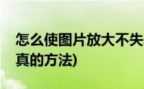 怎么使图片放大不失真(怎么使图片放大不失真的方法)