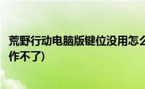 荒野行动电脑版键位没用怎么办(荒野行动电脑版键盘怎么操作不了)