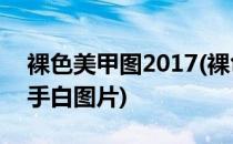 裸色美甲图2017(裸色美甲图片2021款式显手白图片)