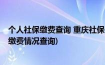 个人社保缴费查询 重庆社保查询 如何查询(查重庆社保个人缴费情况查询)