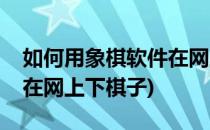 如何用象棋软件在网上下棋(如何用象棋软件在网上下棋子)