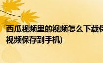 西瓜视频里的视频怎么下载保存到手机里(怎么把西瓜视频的视频保存到手机)