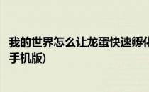 我的世界怎么让龙蛋快速孵化(我的世界怎么让龙蛋快速孵化手机版)