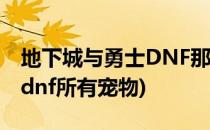 地下城与勇士DNF那些绝版的宠物要上线了(dnf所有宠物)