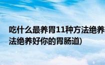 吃什么最养胃11种方法绝养好你的胃(吃什么最养胃11种方法绝养好你的胃肠道)