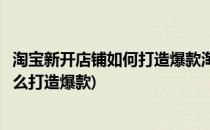 淘宝新开店铺如何打造爆款淘宝新品指标有哪些(淘宝新店怎么打造爆款)