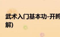 武术入门基本功-开胯(武术开胯的正确方法图解)