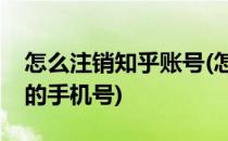 怎么注销知乎账号(怎么注销知乎账号和绑定的手机号)