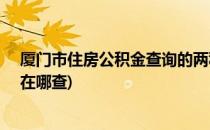 厦门市住房公积金查询的两种方法 电脑+微信(厦门公积金在哪查)