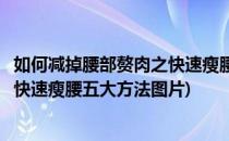 如何减掉腰部赘肉之快速瘦腰五大方法(如何减掉腰部赘肉之快速瘦腰五大方法图片)