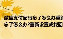 微信支付密码忘了怎么办重新设置或找回方法(微信支付密码忘了怎么办?重新设置或找回方法是什么)