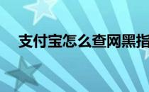 支付宝怎么查网黑指数(怎样查网黑指数)