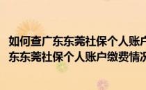 如何查广东东莞社保个人账户缴费情况记录及余额(如何查广东东莞社保个人账户缴费情况记录及余额明细)