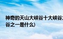 神奇的天山大峡谷十大峡谷之一(神奇的天山大峡谷,十大峡谷之一是什么)