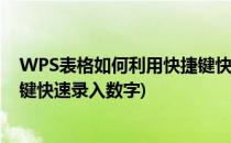 WPS表格如何利用快捷键快速录入(wps表格如何利用快捷键快速录入数字)