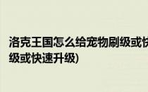 洛克王国怎么给宠物刷级或快速升级(洛克王国怎么给宠物刷级或快速升级)