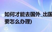 如何才能去国外_出国需要办什么手续(出国需要怎么办理)