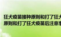 狂犬疫苗接种原则和打了狂犬疫苗后注意事项(狂犬疫苗接种原则和打了狂犬疫苗后注意事项有哪些)