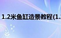 1.2米鱼缸造景教程(1.2米鱼缸造景教程图片)