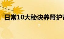 日常10大秘诀养肾护肾(日常怎么养肾护肾)