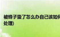 被蜂子蛰了怎么办自己该如何紧急处理(被蜂子蛰了应该怎么处理)