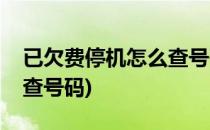 已欠费停机怎么查号码(联通已欠费停机怎么查号码)