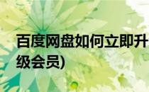 百度网盘如何立即升级(百度网盘如何立即升级会员)